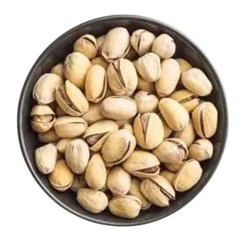 pista-removebg-preview-removebg-preview